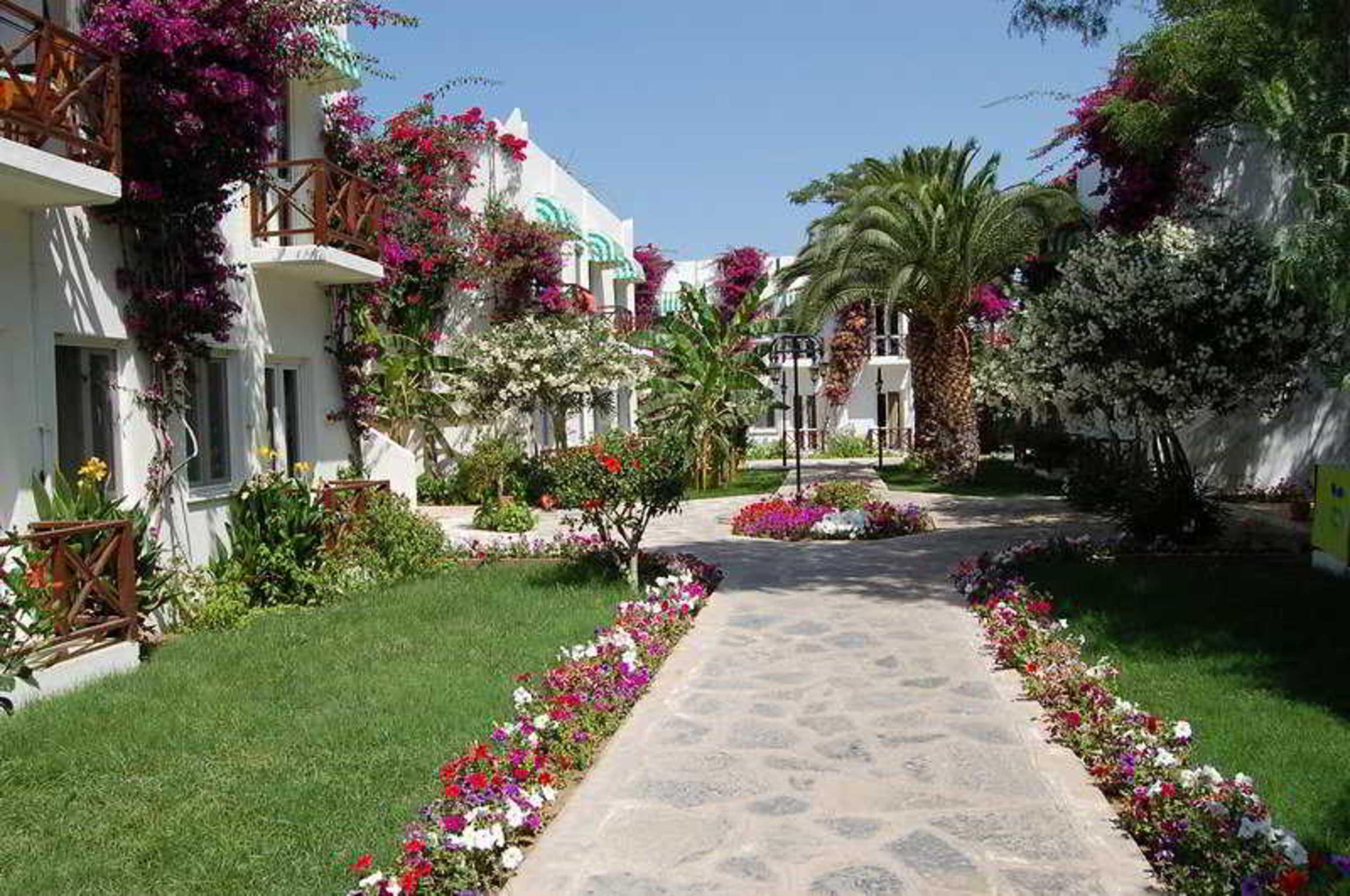 Petunya Beach Resort Ortakentyahşi Exterior foto